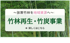 竹林再生・竹炭事業